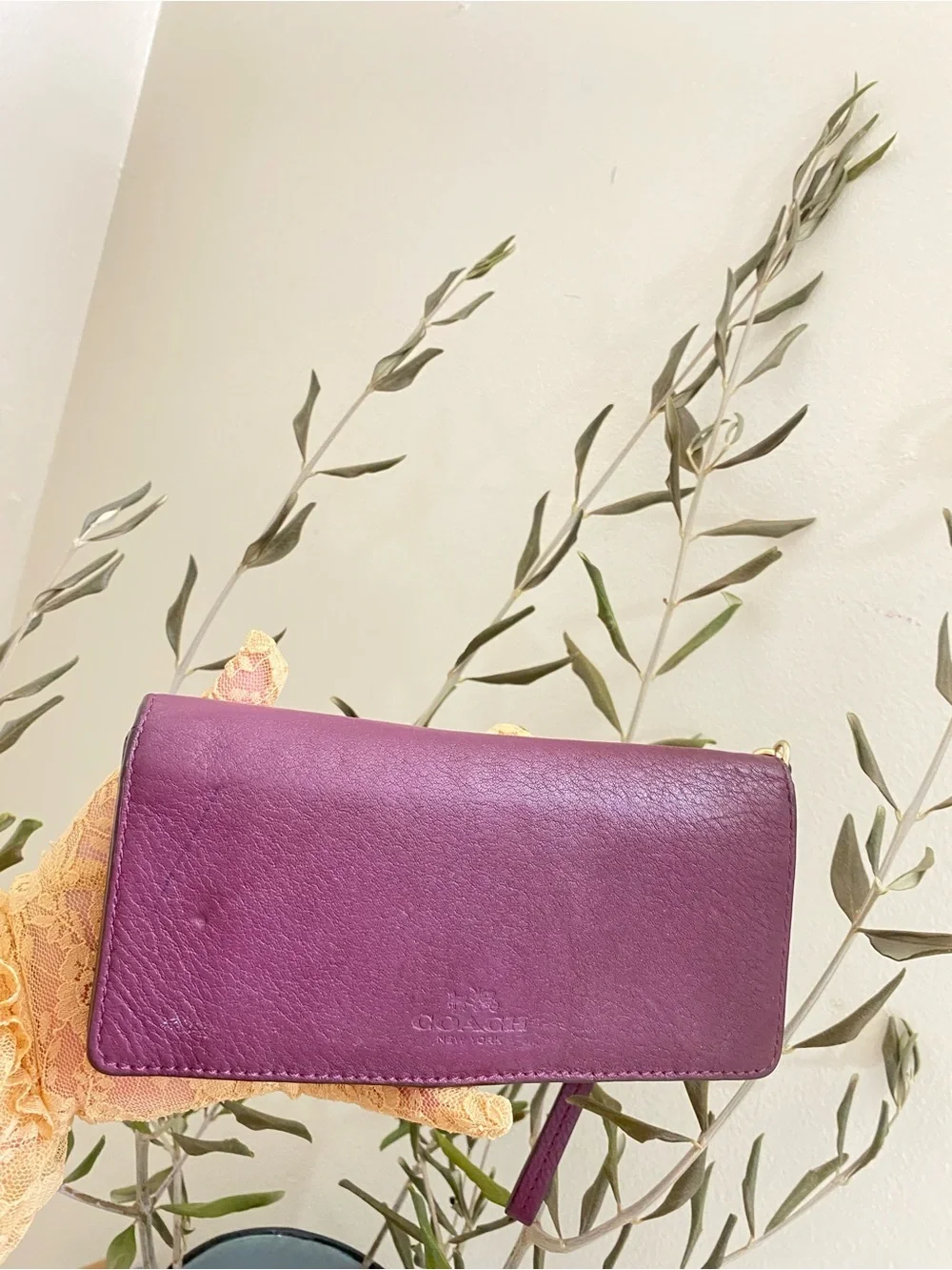 Coach Leather wristband Wallet